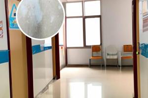 伍德灯都能照什么